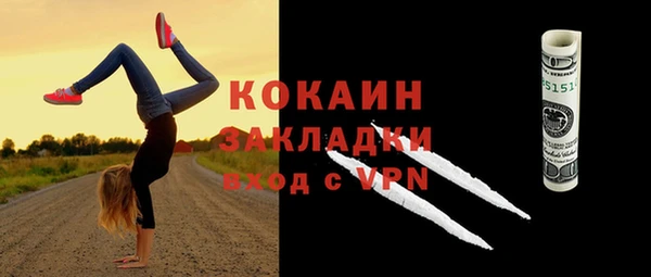 дживик Баксан