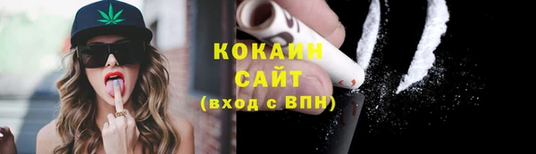 дживик Баксан